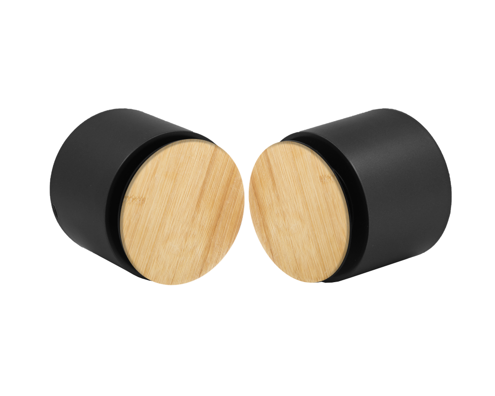 Enceinte Bluetooth EKOBO
